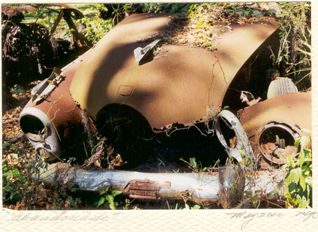 abandonado by maria runk may 2000