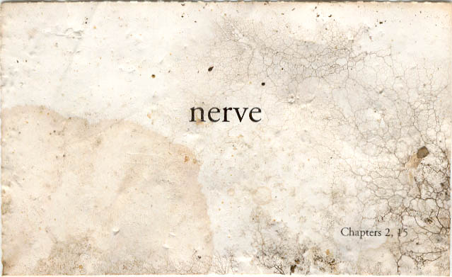 found in ferndale summer 2oo2