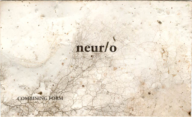 found in ferndale summer 2oo2