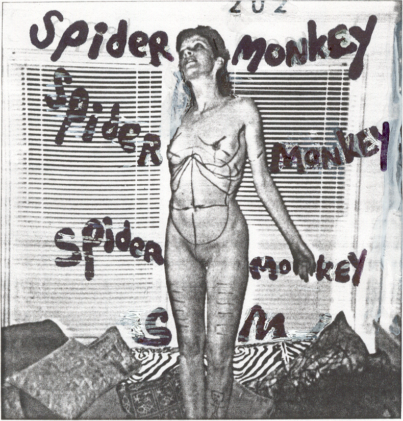 spider monkey/will soderberg